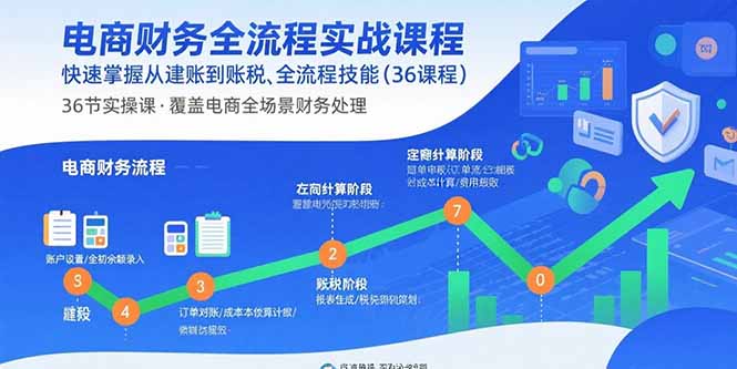 电商财务全流程实战课程:快速掌握从建账到报税的全流程技能(36节课-网创资源站