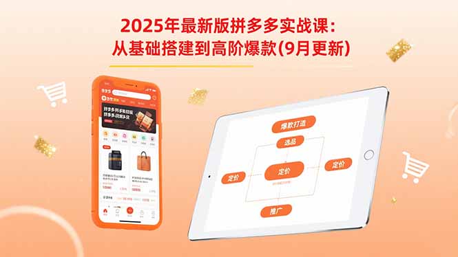 2025年最新版拼多多实战课：从基础搭建到高阶爆款(9月更新-网创资源站