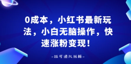 0成本，小红书最新玩法，小白无脑操作，快速涨粉变现-网创资源站