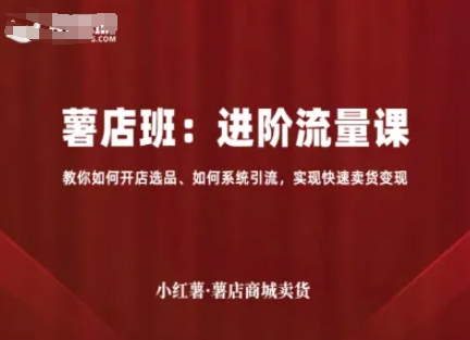 小红薯薯店商城卖货,进阶流量课,教你如何开店选品、如何系统引流,实现快速卖货变现-网创资源站