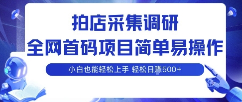 拍店采集调研，全网首码项目，简单易操作， 小白也能轻松上手，多账号操作，轻松日入5张【揭秘】-网创资源站