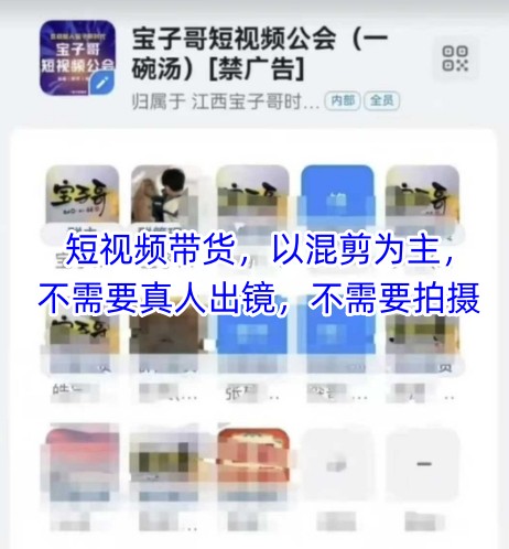 宝子哥头部团队短视频带货,以混剪为主,不需要真人出镜,不需要拍摄【更新9月】-网创资源站