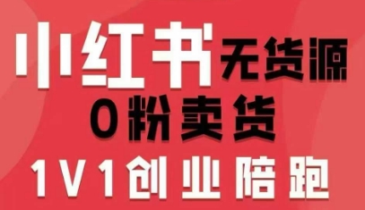 小红书无货源0粉电商课,开店准备、选品策略、笔记撰写、视频剪辑、数据分析、账号打造、资料文档-网创资源站