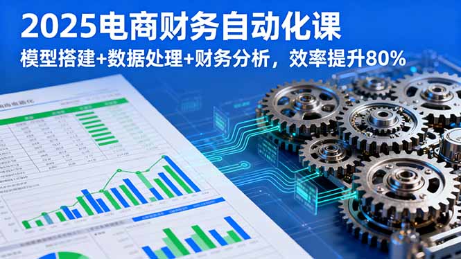 2025电商财务自动化课,模型搭建+数据处理+财务分析,效率提升80%-网创资源站