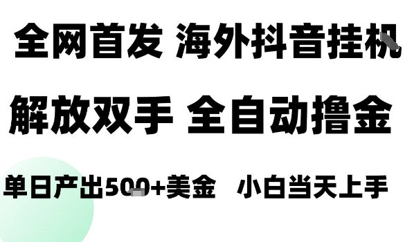 海外抖音无人直播，单日产出1.5k+，长期稳定，新手可玩，无脑操作【揭秘】-网创资源站