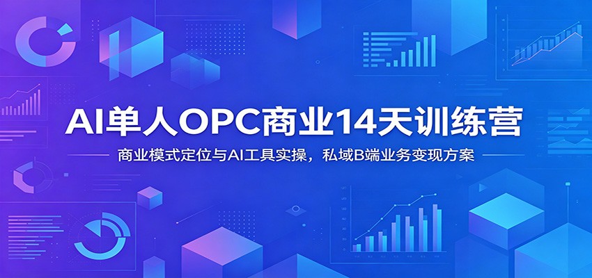 AI单人OPC商业14天训练营：商业模式定位与AI工具实操，私域B端业务变现方案-网创资源站
