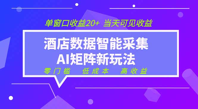 2026酒店数据采集ai智能矩阵新风口 低成本 高收益 当天见收益 单窗口20+-网创资源站