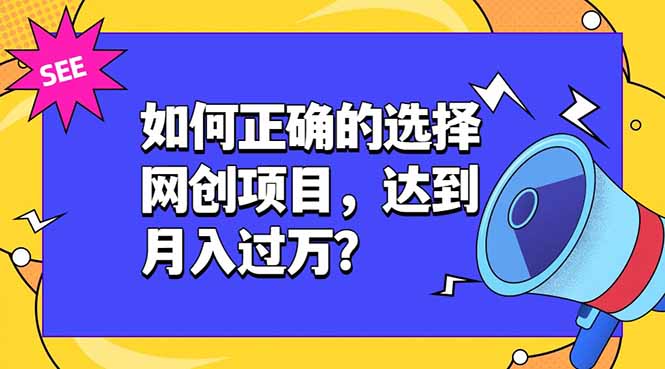 如何正确的选择网创项目，达到月入过万？，本课程教你正确选择项目。-网创资源站