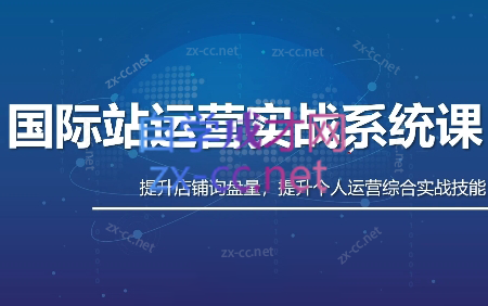 白老师·国际站运营实战系统(高质量询盘增长课)(更新)-网创资源站