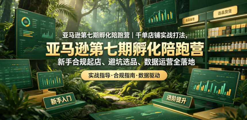 亚马逊孵化陪跑营｜千单店铺实战打法，新手合规起店、避坑选品、数据运营全落地(更新0708)-网创资源站