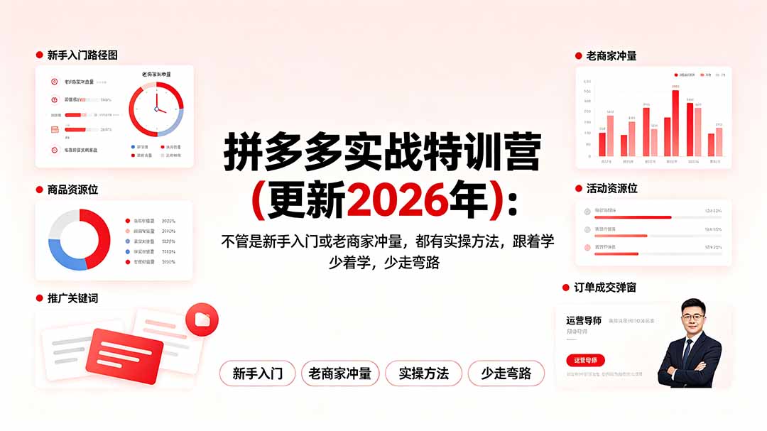 拼多多实战特训营(更新2026年-网创资源站
