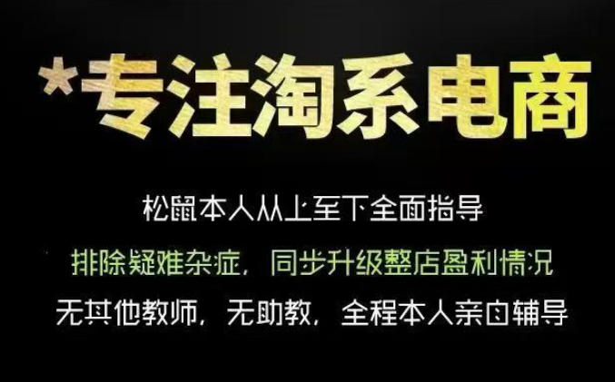 松鼠会电商VIP课程,从基础布局到高阶优化,助你掌握淘宝运营逻辑,提升店铺流量与转化(更新0711)-网创资源站